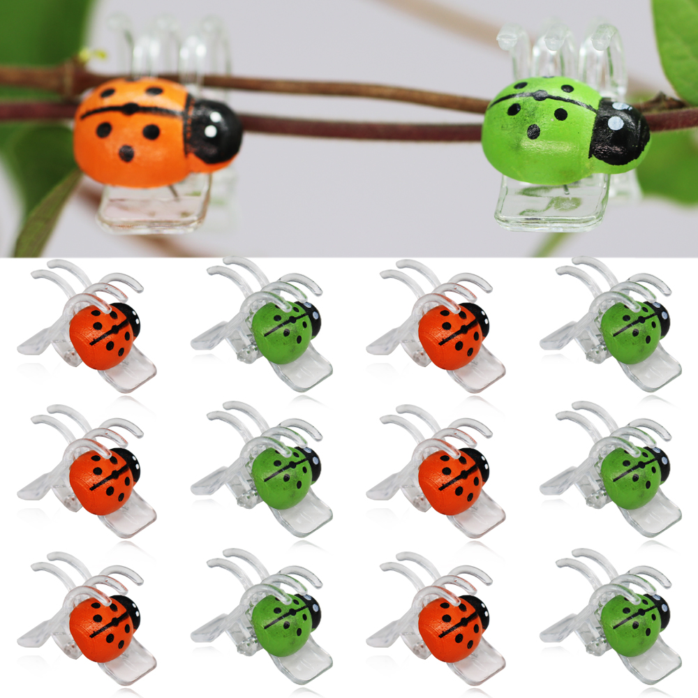 Bonsai Garden Ornaments - 10-800PCS Ladybird Orchid Clips Colorful 5-Claw
