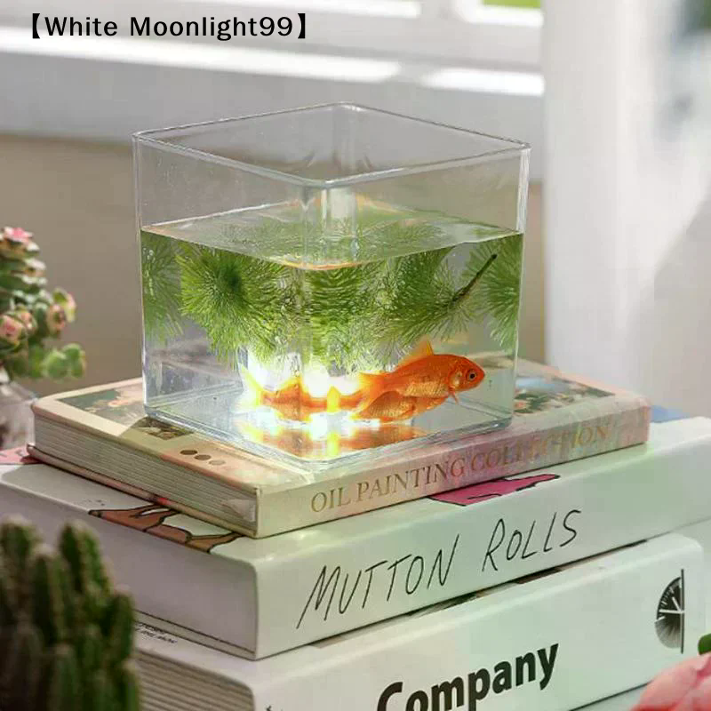 Bonsai Garden Nursery - Square/Round Transparent Acrylic Flower Nursery Pots