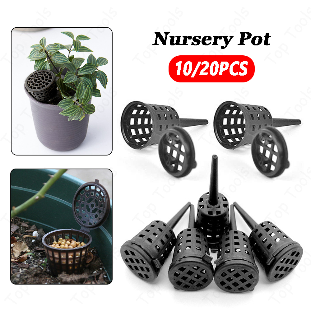 Bonsai Garden Nursery - 10/20pcs Fertilizer Box Bonsai Tool Fertilizer