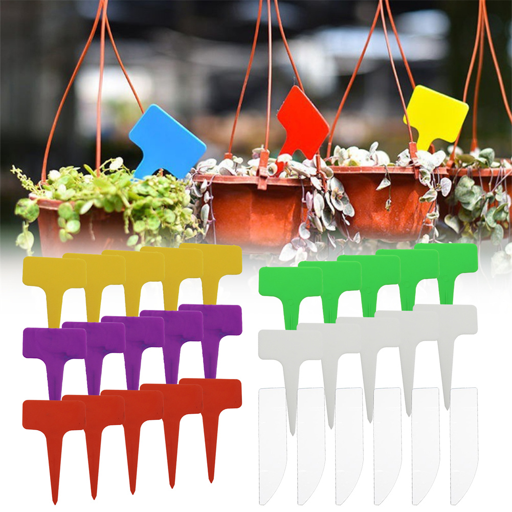 Bonsai Garden Nursery - 20/100Pcs Garden Plant Labels T-Type Flower