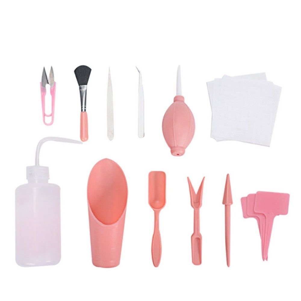 DIY Mini Transplant Combinatio - Bonsai Garden Kit บทวิจารณ์และราคา