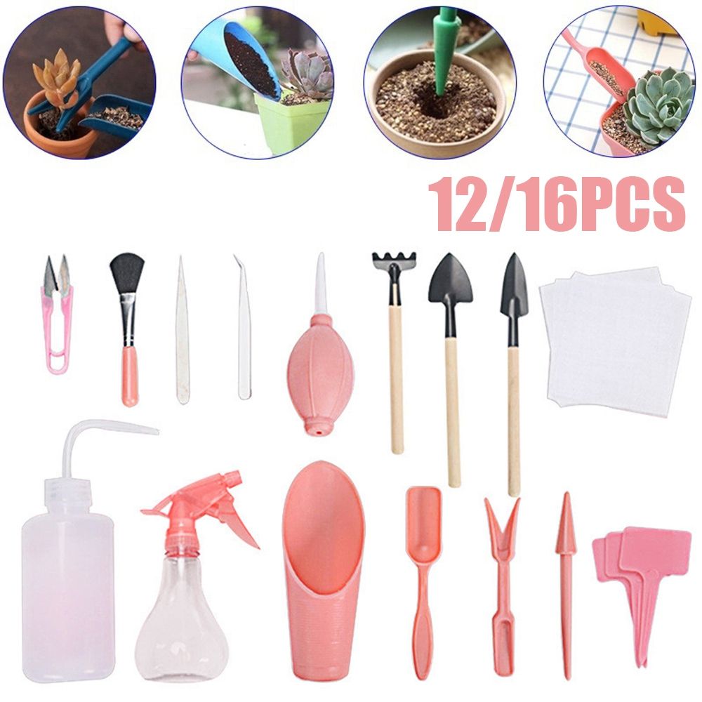 DIY Mini Transplant Combinatio - Bonsai Garden Kit บทวิจารณ์และราคา