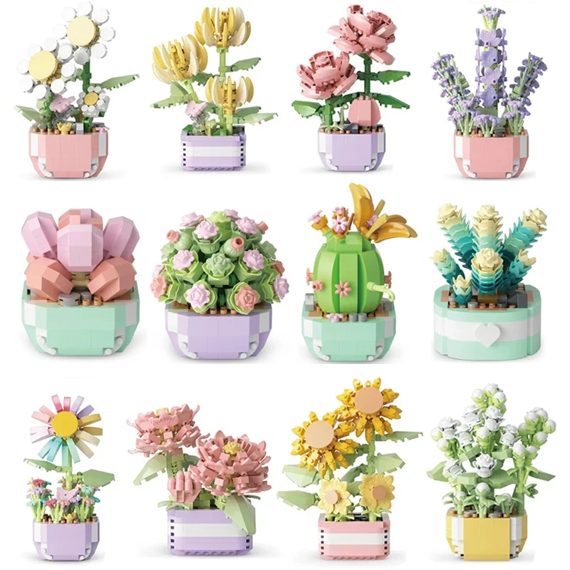 Flower Succulents Building Blo - Bonsai Garden Kit บทวิจารณ์และราคา