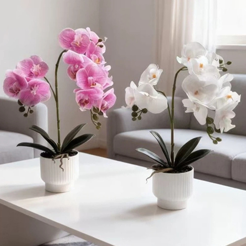 Multi-Bloom Simulated Butterfl - Bonsai Garden Kit บทวิจารณ์และราคา
