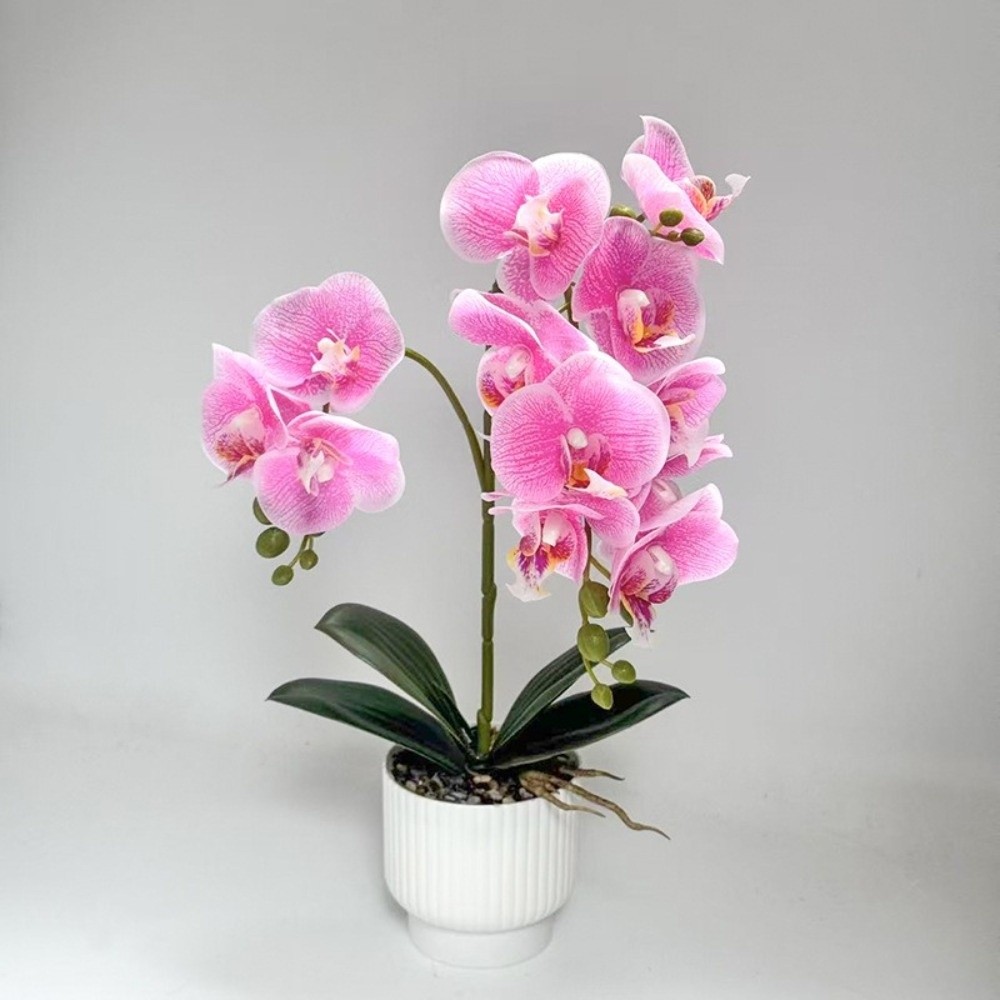 Multi-Bloom Simulated Butterfl - Bonsai Garden Kit บทวิจารณ์และราคา
