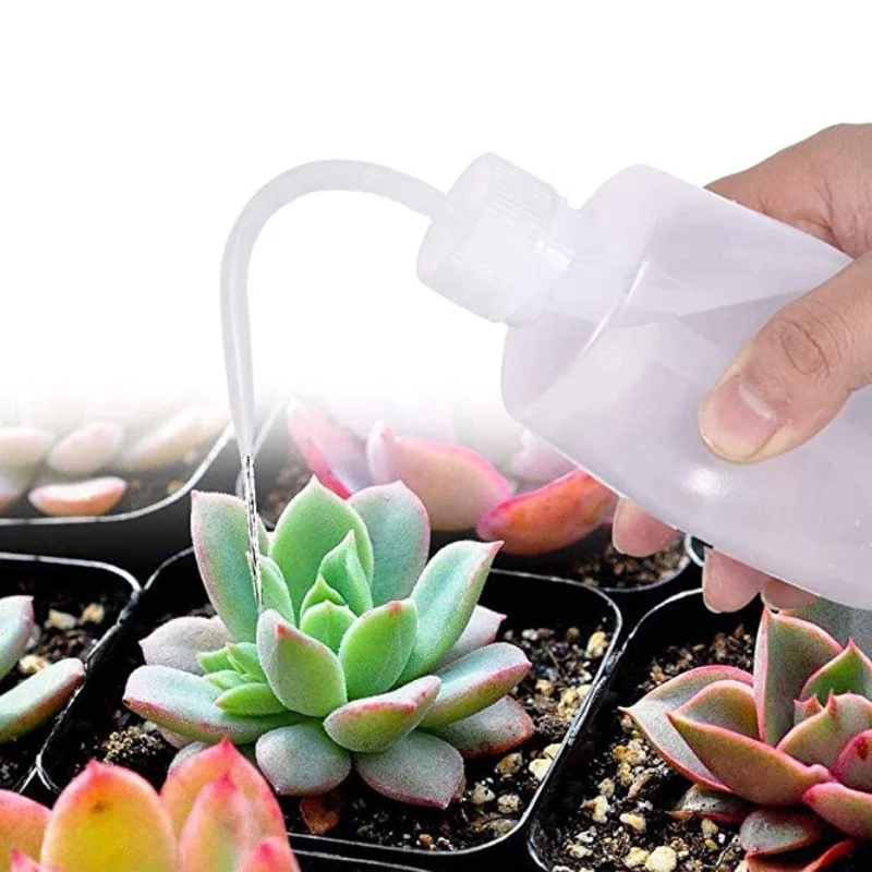 13Pcs Garden Planter Kit DIY S - Bonsai Garden Kit บทวิจารณ์และราคา