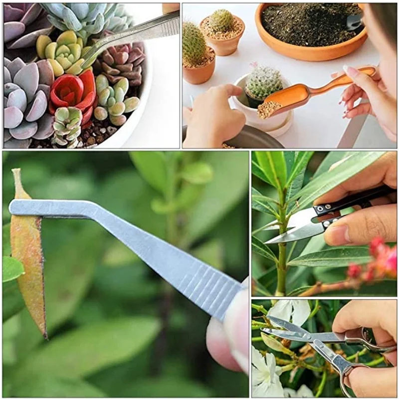 13Pcs Garden Planter Kit DIY S - Bonsai Garden Kit บทวิจารณ์และราคา