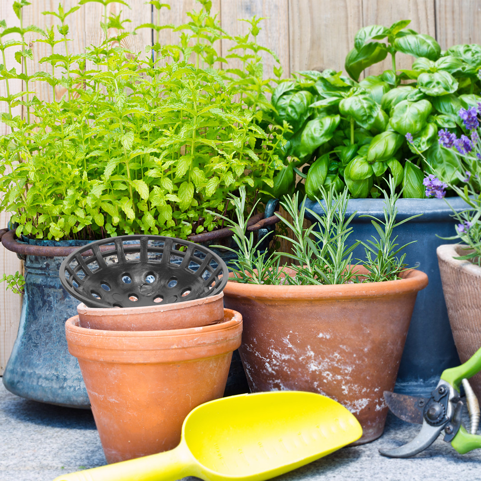 10Pcs Planter Hole Mesh Pad Pl - Bonsai Garden And Cafe บทวิจารณ์และราคา