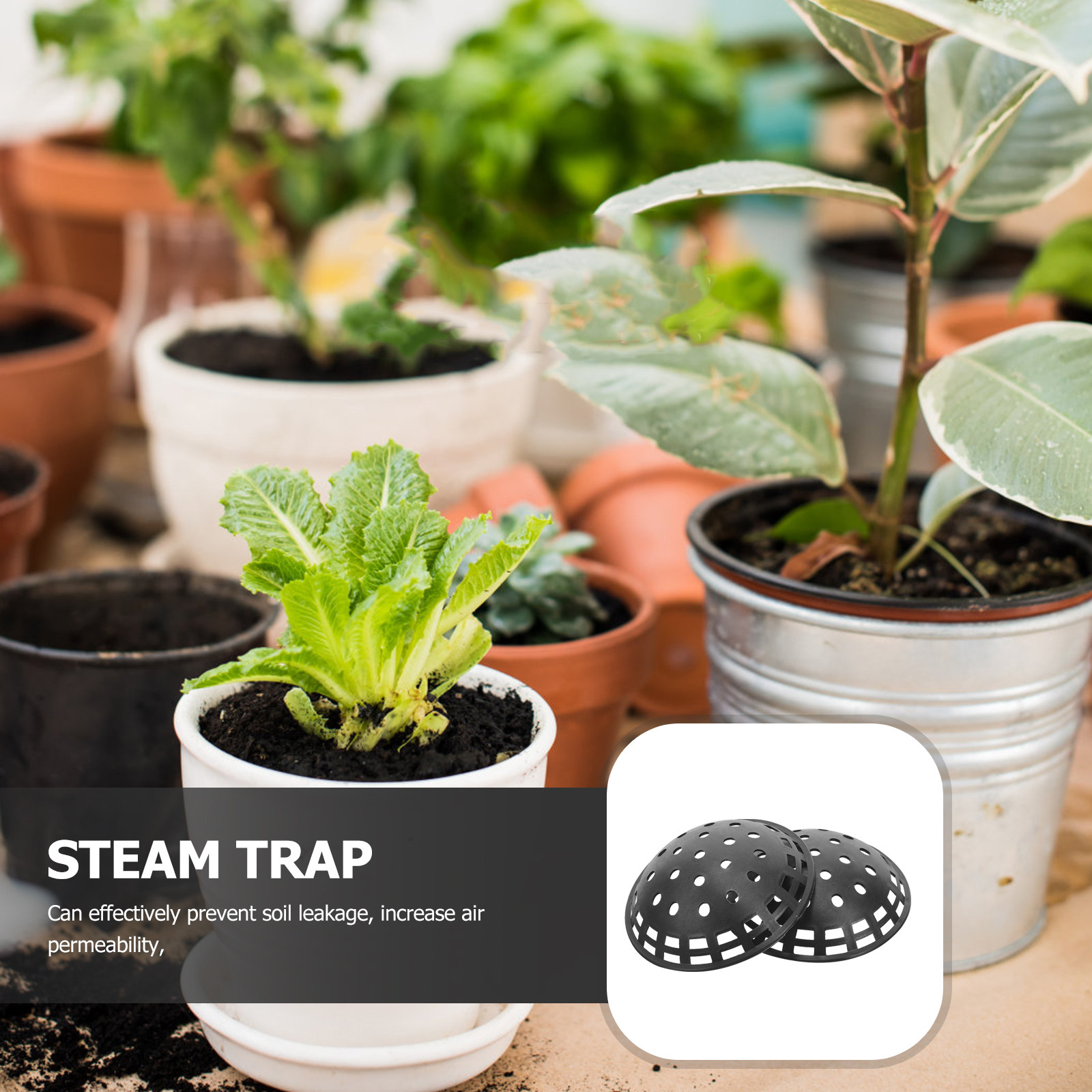 10Pcs Planter Hole Mesh Pad Pl - Bonsai Garden And Cafe บทวิจารณ์และราคา
