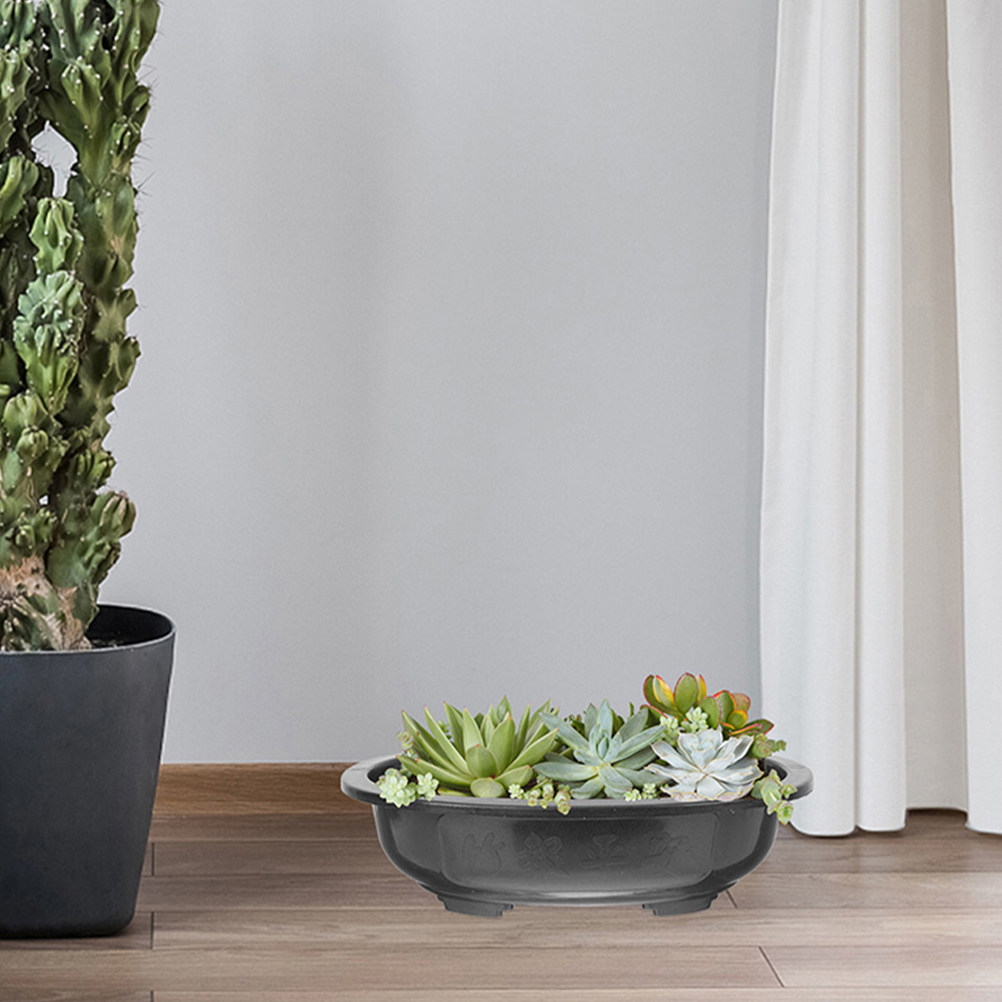 2Pcs Oval Planter Pot Large Fl - Bonsai Garden Nursery บทวิจารณ์และราคา