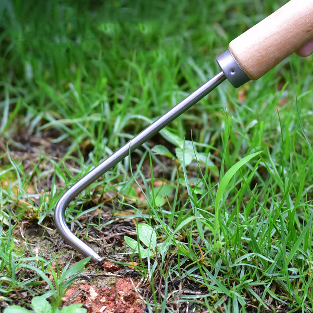 1PC Single Claw Hook Soil Loos - Bonsai Garden Kit บทวิจารณ์และราคา