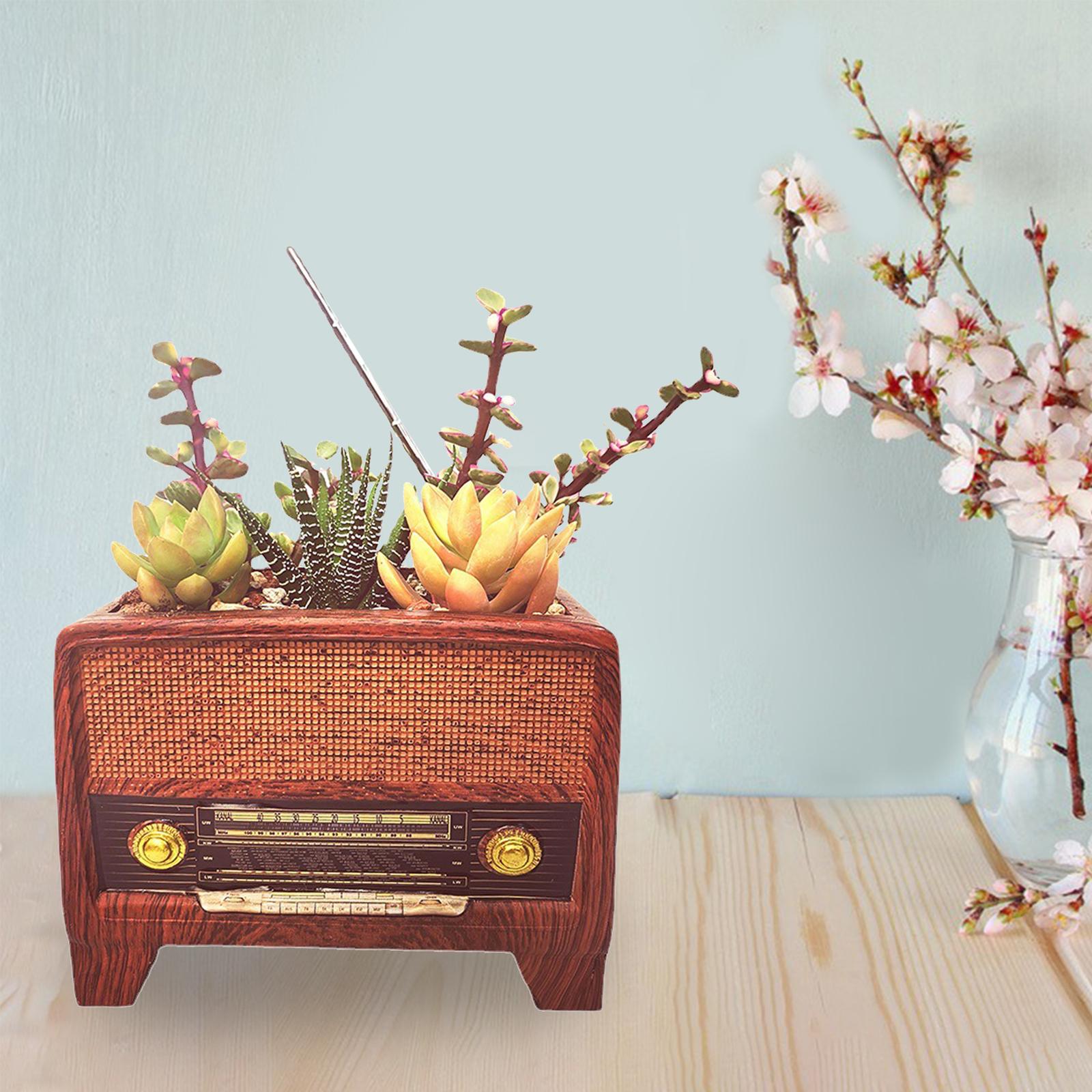 Resin Pot Radio Shape Supplies - Bonsai Garden And Cafe บทวิจารณ์และราคา