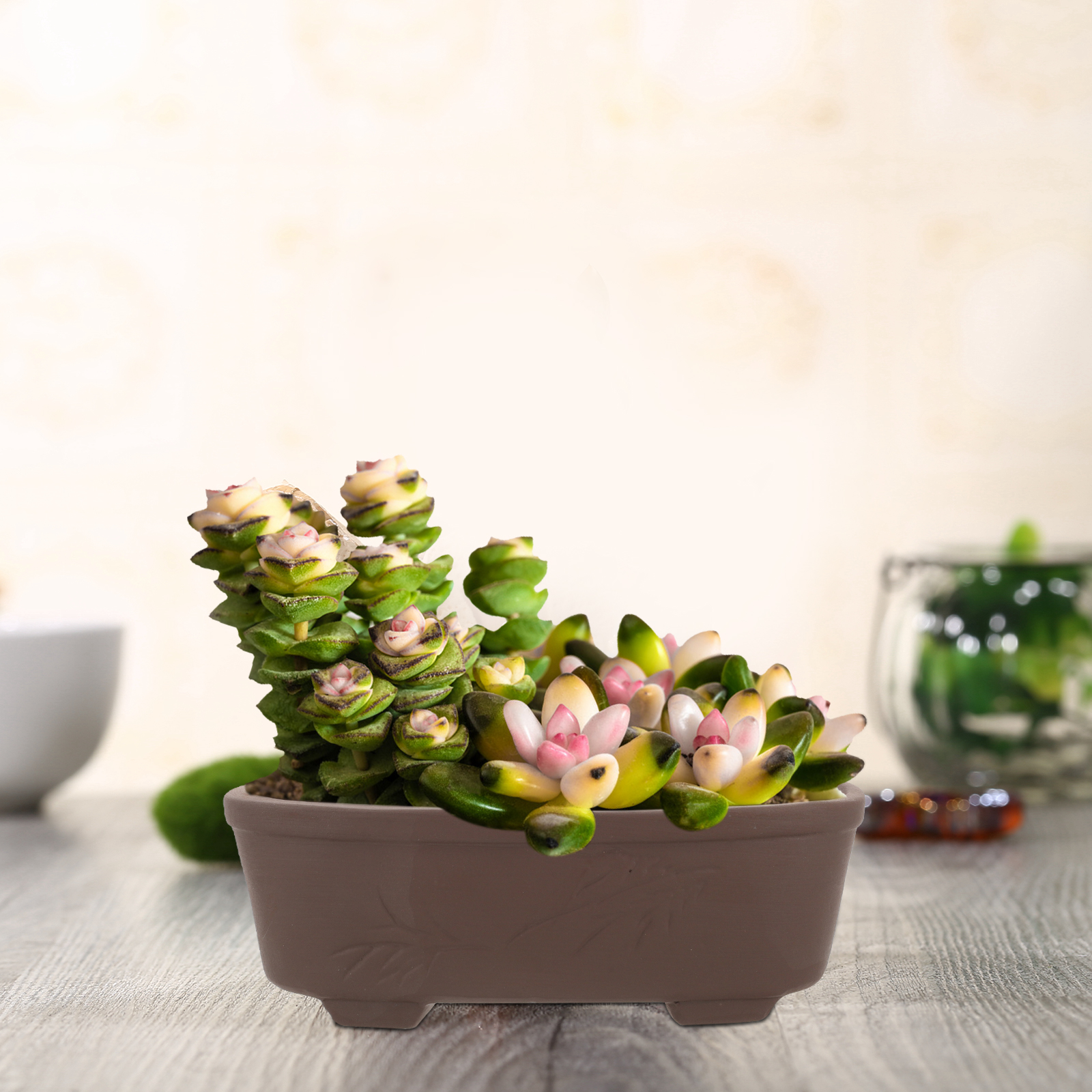 Handmade Vintage Style Clay Te - Bonsai Garden Nursery บทวิจารณ์และราคา