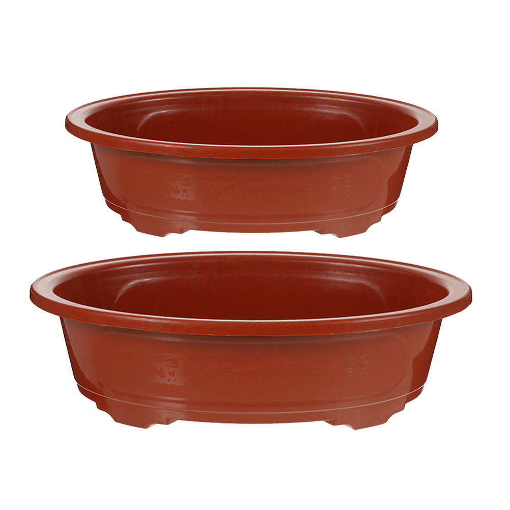 2Pcs Oval Shallow Bonsai Plant - Bonsai Garden Nursery บทวิจารณ์และราคา