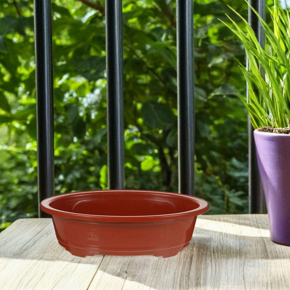 2Pcs Oval Shallow Bonsai Plant - Bonsai Garden Nursery บทวิจารณ์และราคา