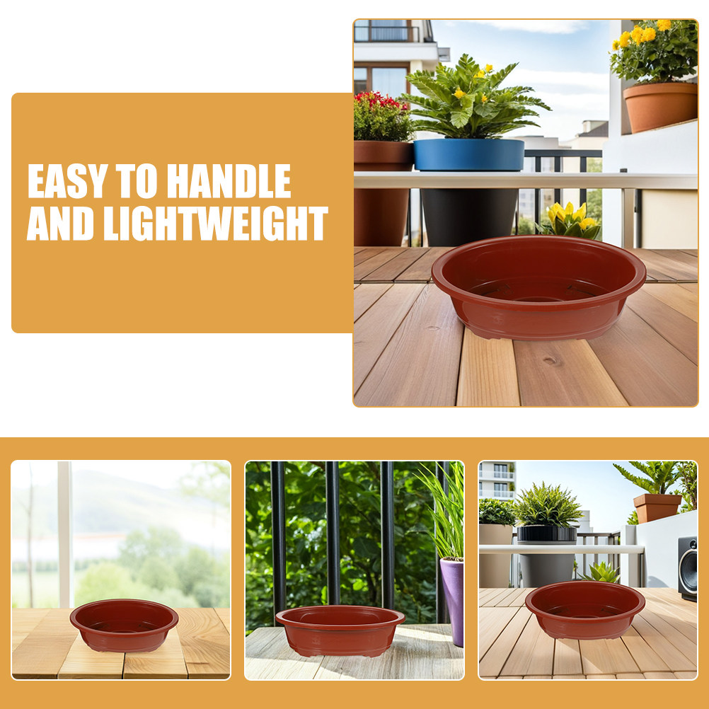 2Pcs Oval Shallow Bonsai Plant - Bonsai Garden Nursery บทวิจารณ์และราคา
