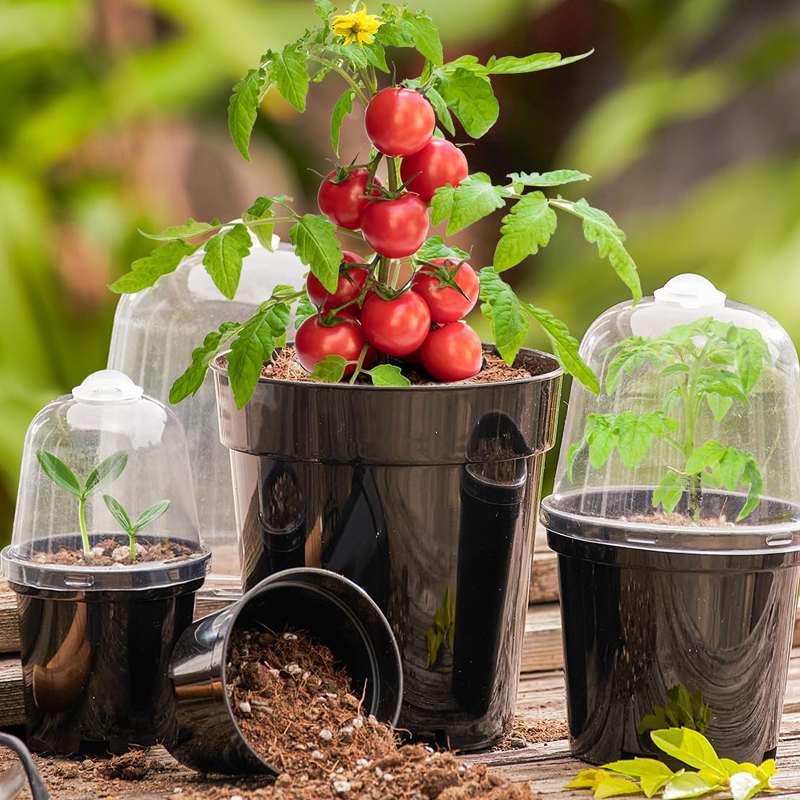 Nursery Pots Flowerpot Gardeni - Bonsai Garden Nursery บทวิจารณ์และราคา