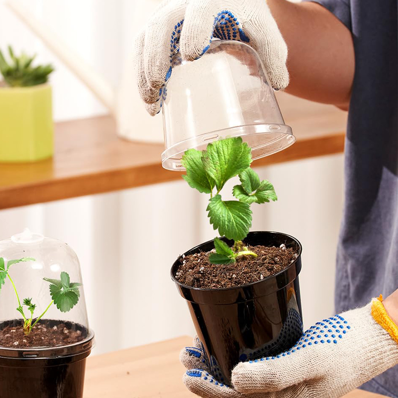 Nursery Pots Flowerpot Gardeni - Bonsai Garden Nursery บทวิจารณ์และราคา