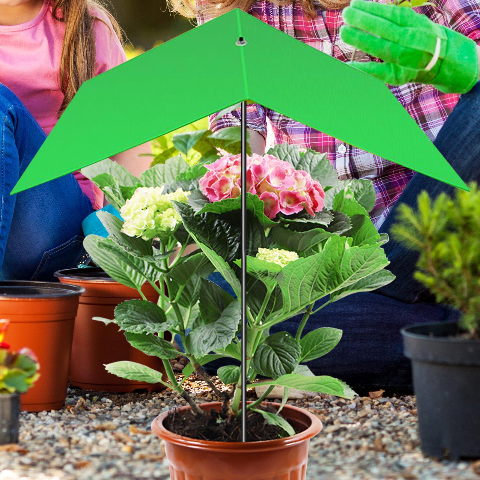 Plant Umbrella Anti-UV Heat Re - Bonsai Garden And Cafe บทวิจารณ์และราคา
