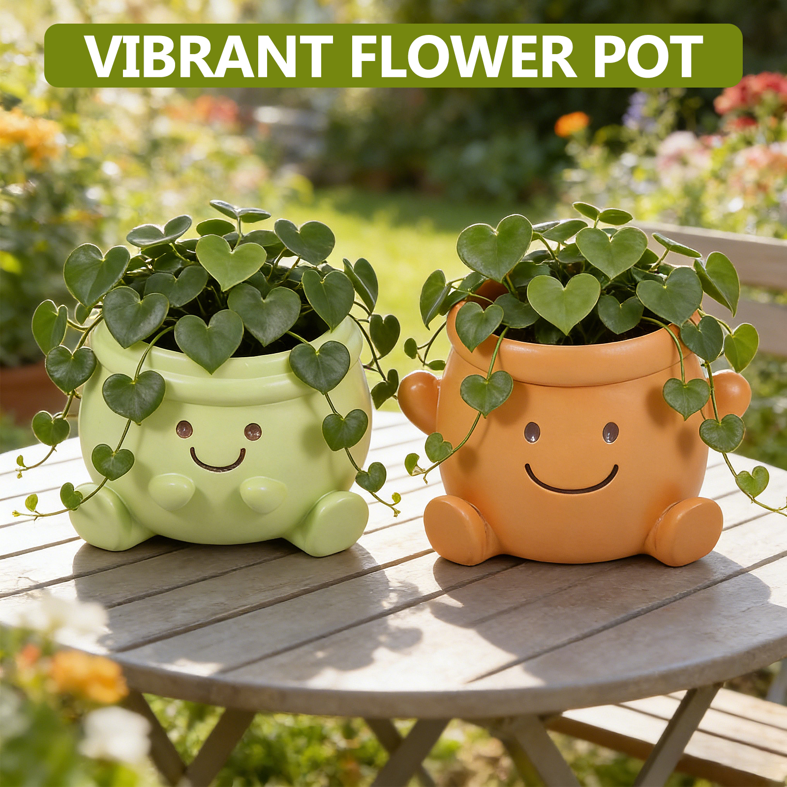 2Pcs Face Plant Pot Smile Succ - Bonsai Garden Nursery บทวิจารณ์และราคา