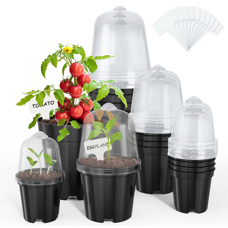 Nursery Pots Flowerpot Gardeni - Bonsai Garden Nursery บทวิจารณ์และราคา