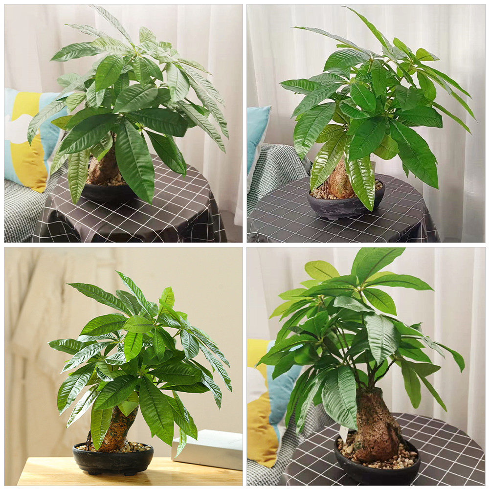 Artificial Bonsai Potted Plant - Bonsai Garden And Cafe บทวิจารณ์และราคา