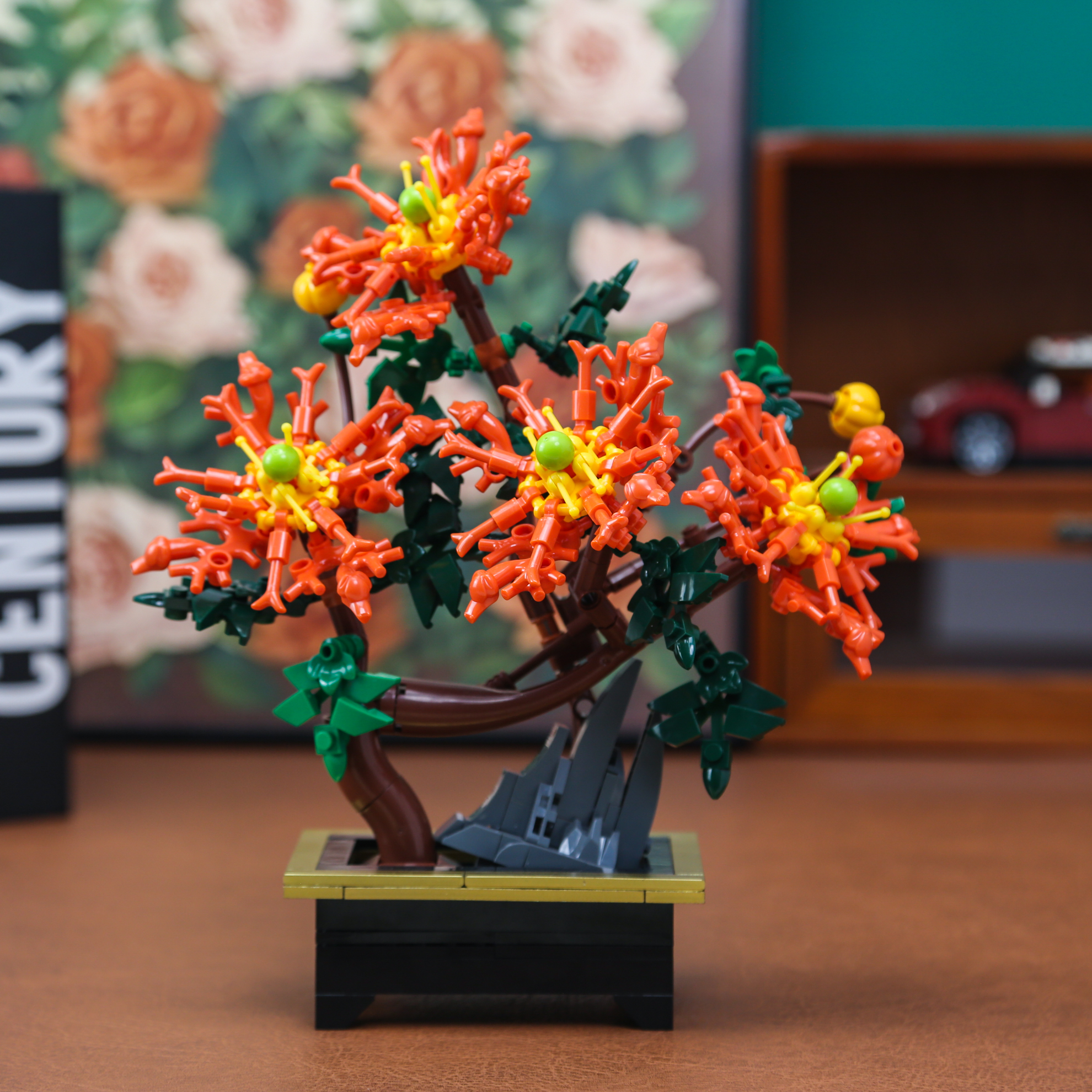 Dragon Claw Chrysanthemum Bons - Bonsai Garden Kit บทวิจารณ์และราคา