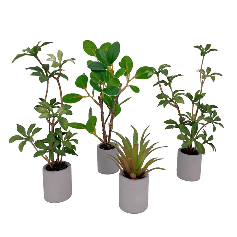 1:6 Dollhouse Miniature Potted - Bonsai Garden Kit บทวิจารณ์และราคา