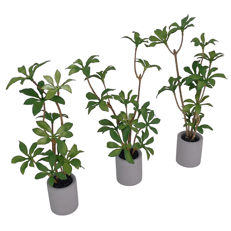 1:6 Dollhouse Miniature Potted - Bonsai Garden Kit บทวิจารณ์และราคา
