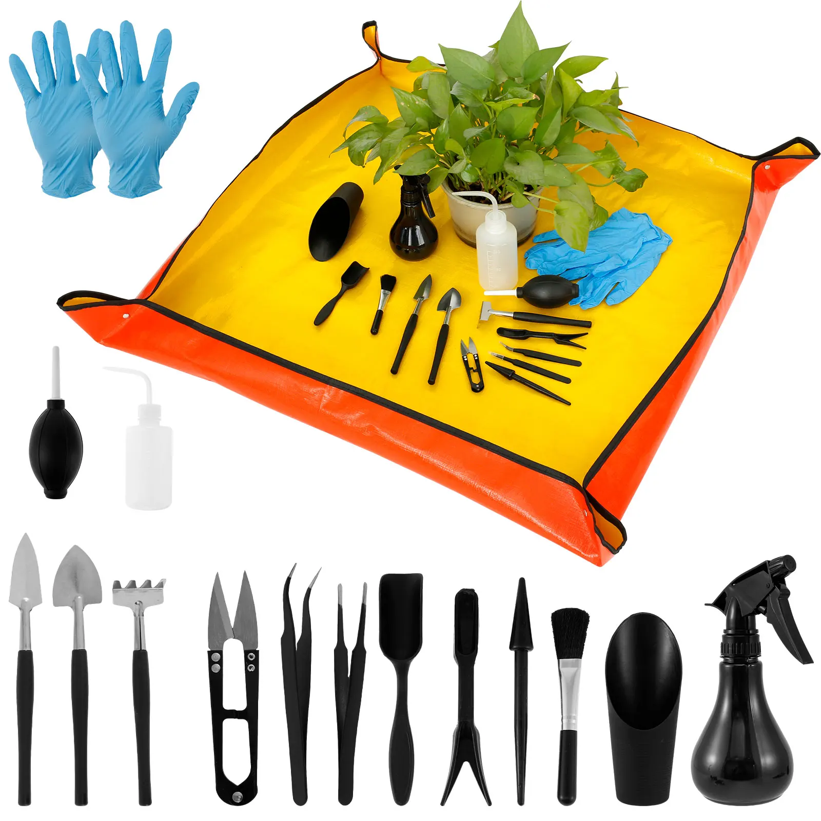 13/16Pcs Garden Succulent Plan - Bonsai Garden Kit บทวิจารณ์และราคา