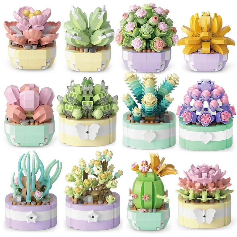 Flower Succulents Building Blo - Bonsai Garden Kit บทวิจารณ์และราคา