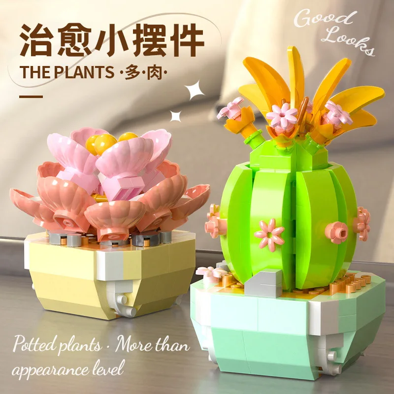 Flower Succulents Building Blo - Bonsai Garden Kit บทวิจารณ์และราคา