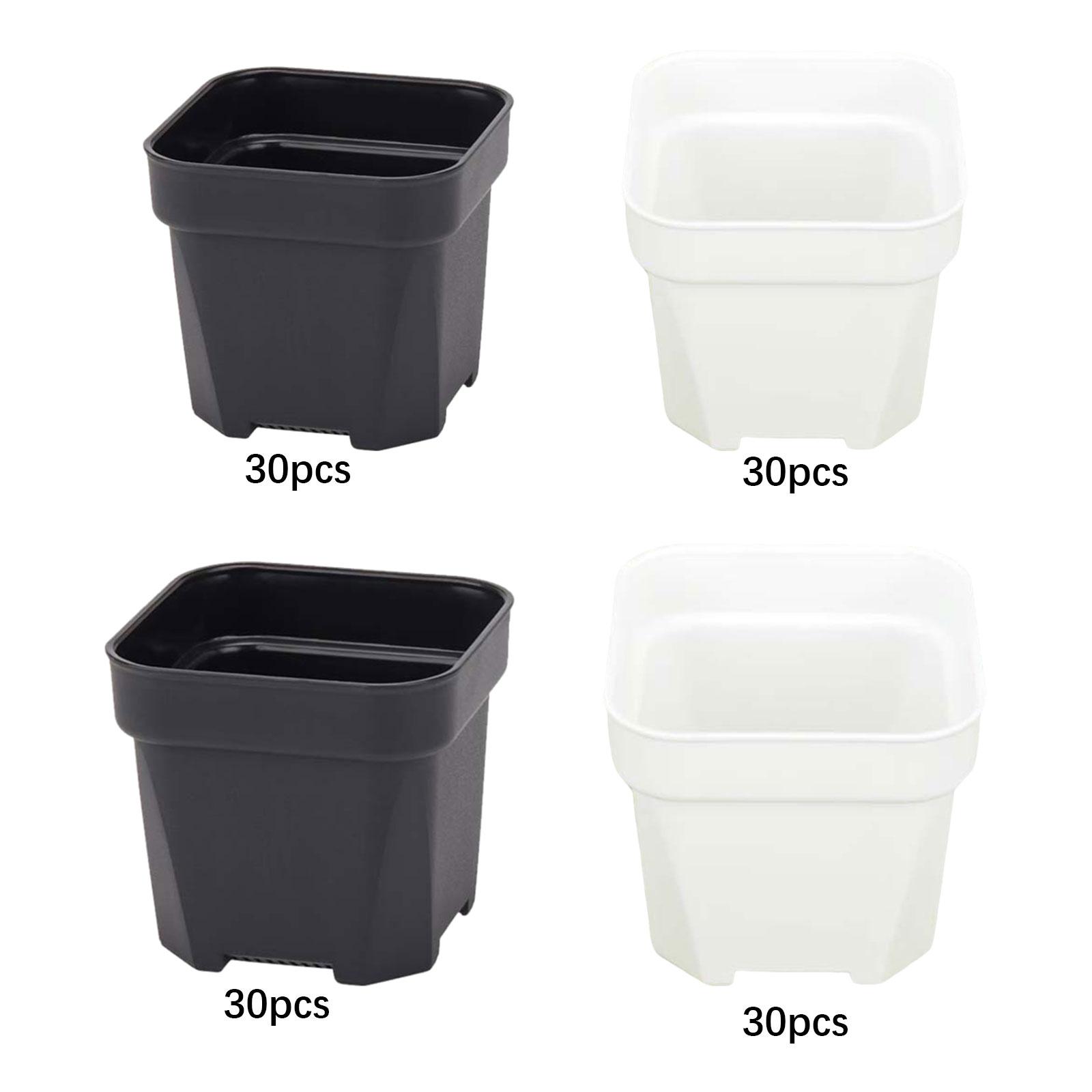 30x Plant Nursery Pots Flower  - Bonsai Garden Nursery บทวิจารณ์และราคา