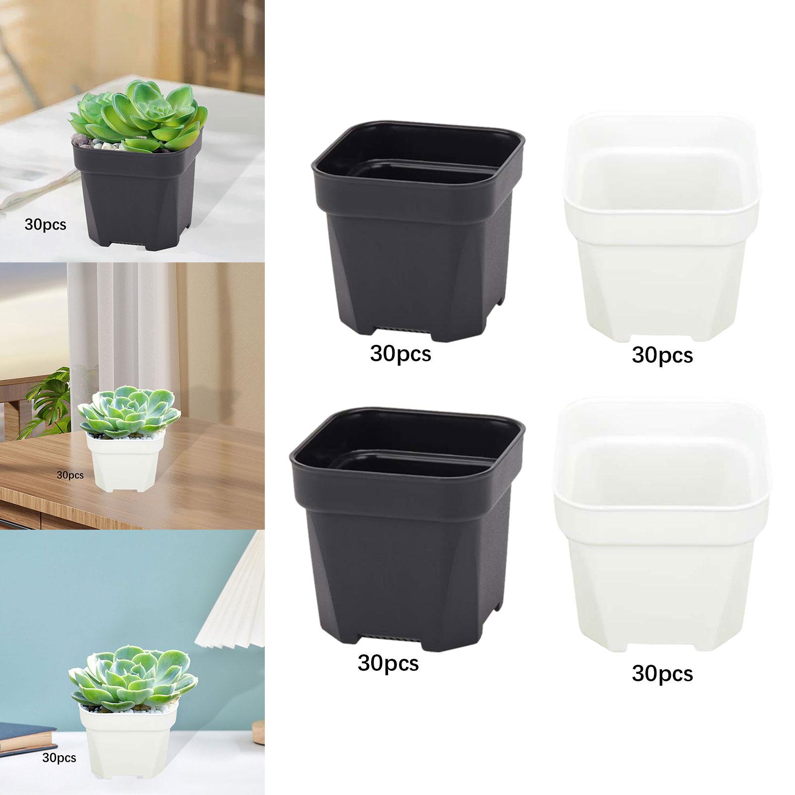 30x Plant Nursery Pots Flower  - Bonsai Garden Nursery บทวิจารณ์และราคา