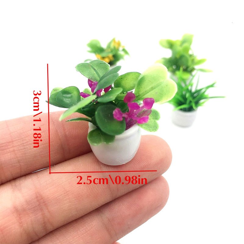 Dollhouse Plant, Miniature Bon - Bonsai Garden Kit บทวิจารณ์และราคา