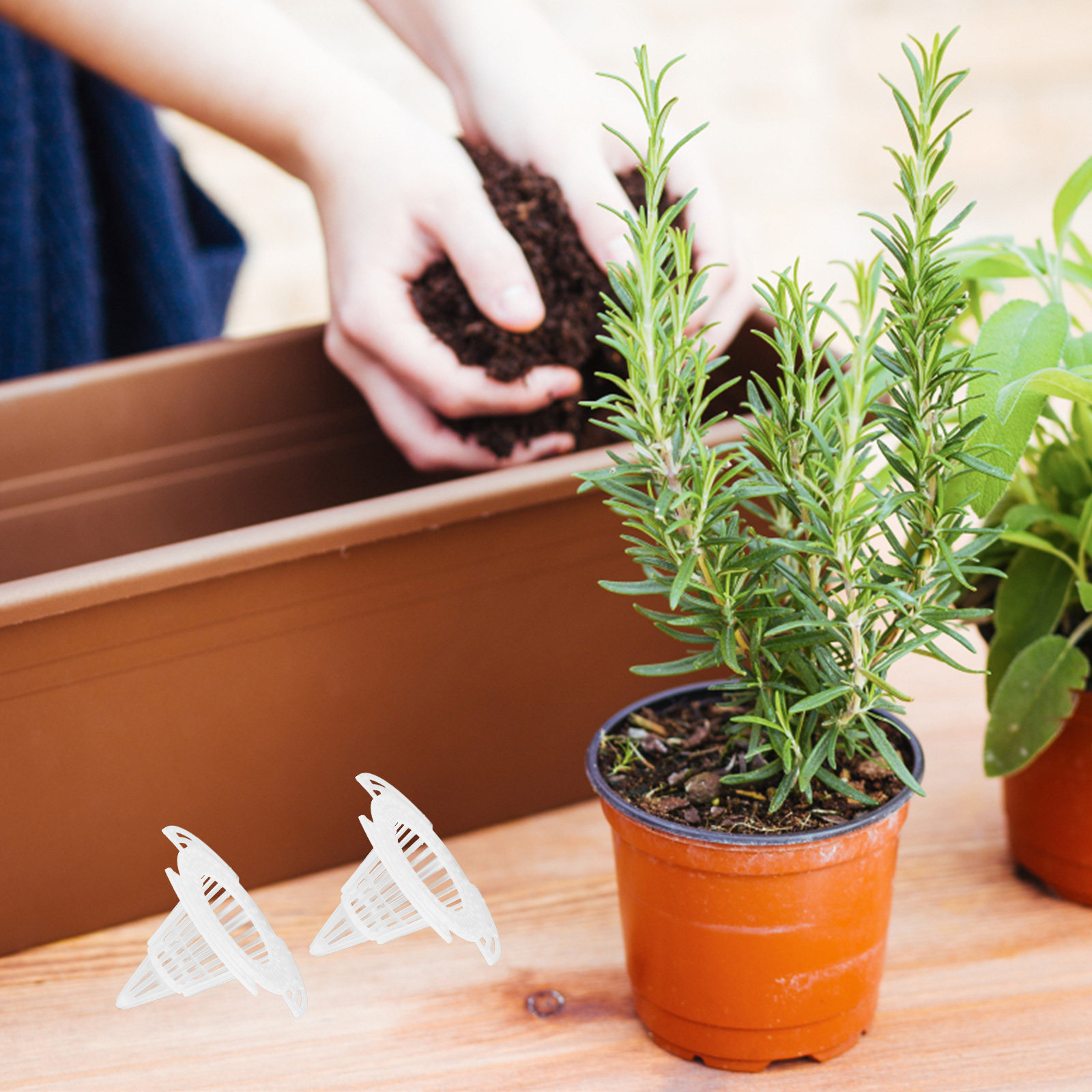 20Pcs Cone Flower Pot Hole Mes - Bonsai Garden And Cafe บทวิจารณ์และราคา