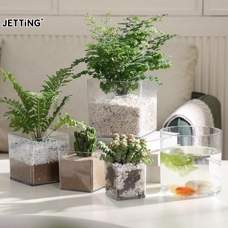 Square/Round Transparent Acryl - Bonsai Garden Nursery บทวิจารณ์และราคา