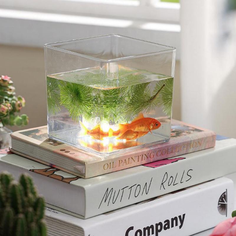 Square/Round Transparent Acryl - Bonsai Garden Nursery บทวิจารณ์และราคา