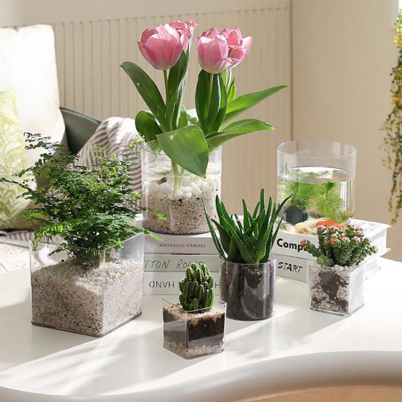 Square Round Transparent Acryl - Bonsai Garden Nursery บทวิจารณ์และราคา