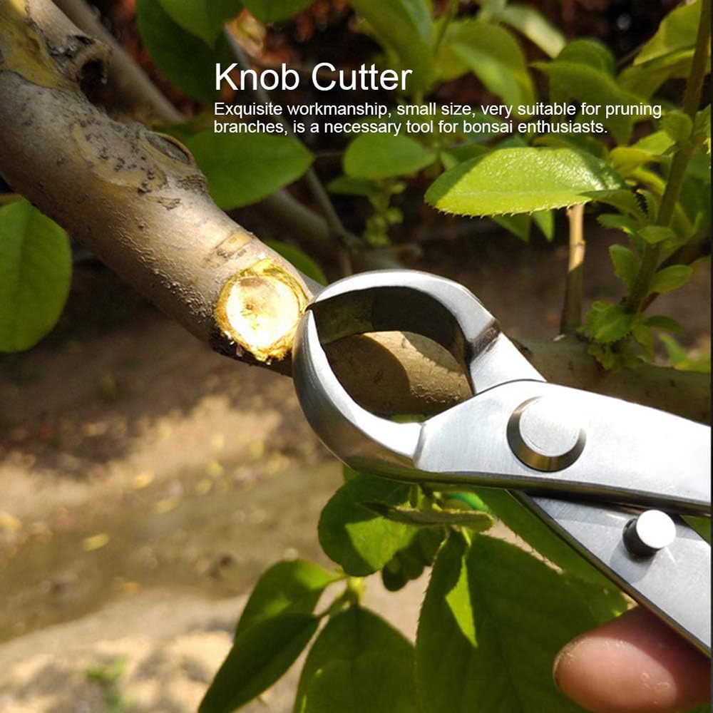Three models of bonsai shears  - Bonsai Garden Kit บทวิจารณ์และราคา