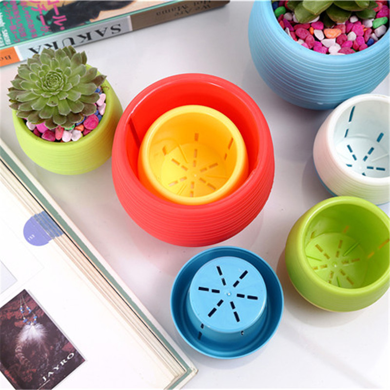Gardening Mini Plastic Flower  - Bonsai Garden Nursery บทวิจารณ์และราคา