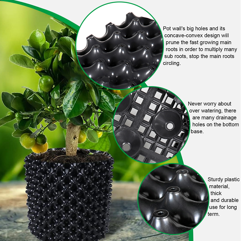 Pruning Nursery  Trainer Fast  - Bonsai Garden Nursery บทวิจารณ์และราคา