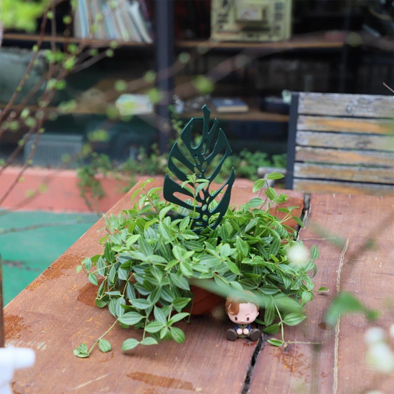 Plant Climbing Support Stand F - Bonsai Garden Kit บทวิจารณ์และราคา
