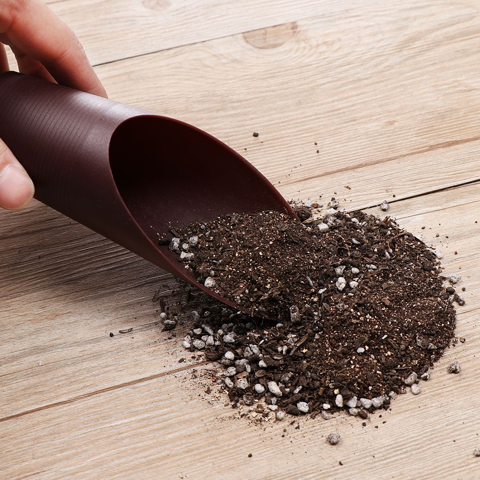 1PC Plastic Soil Shovel Cup Fo - Bonsai Garden Kit บทวิจารณ์และราคา