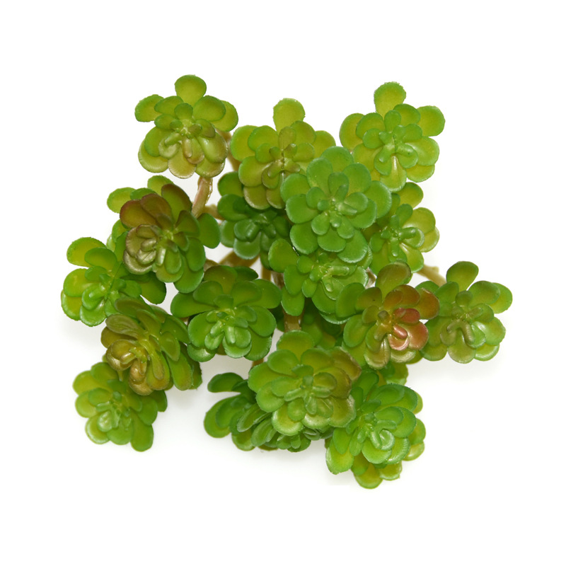 12pcs Simulation Green Plants  - Bonsai Garden And Cafe บทวิจารณ์และราคา