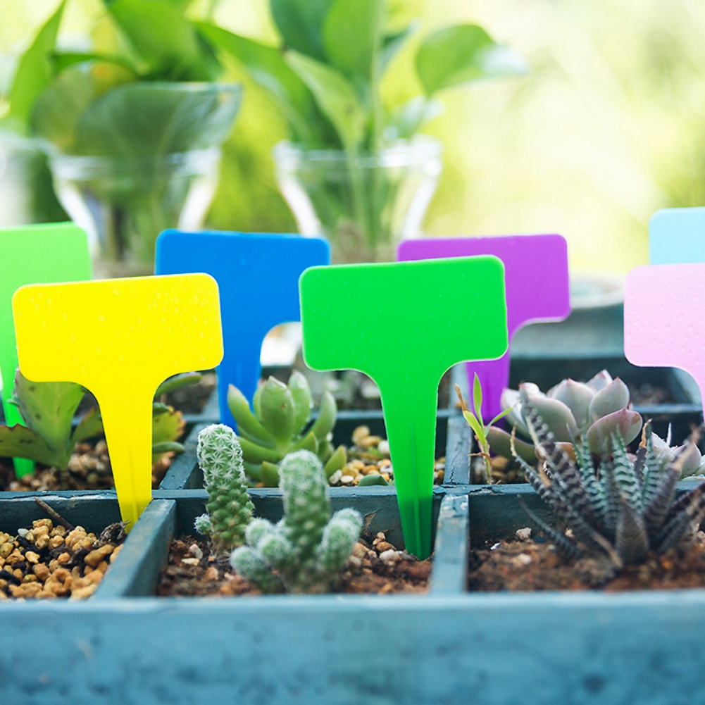 20/100Pcs Garden Plant Labels  - Bonsai Garden Nursery บทวิจารณ์และราคา